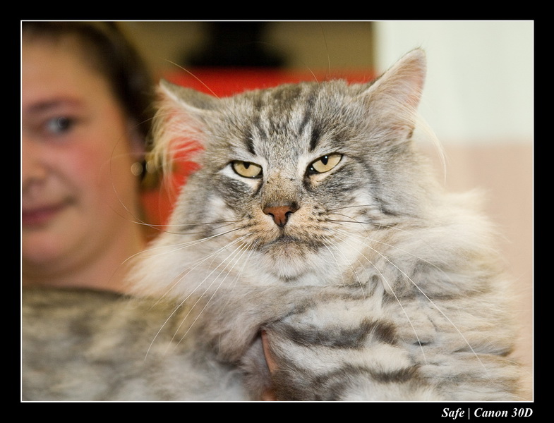 Sep 06 - Salon des animaux de compagnies - 35